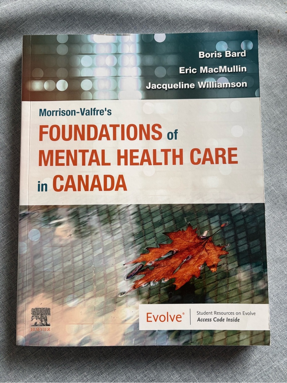 Nursing mental health book